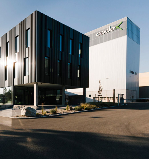 Neubau Codex GmbH & Co. KG